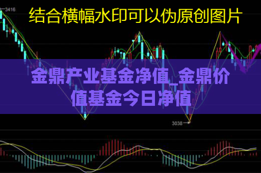 金鼎产业基金净值_金鼎价值基金今日净值  第1张