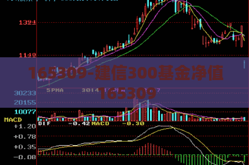 165309-建信300基金净值 165309  第1张