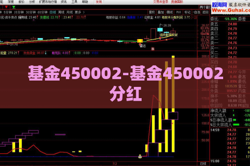 基金450002-基金450002分红  第1张