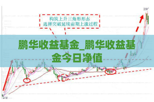 鹏华收益基金_鹏华收益基金今日净值