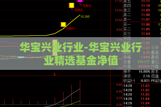 华宝兴业行业-华宝兴业行业精选基金净值  第1张