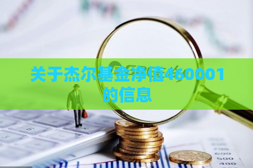 关于杰尔基金净值460001的信息  第1张