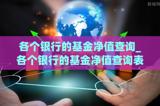 各个银行的基金净值查询_各个银行的基金净值查询表  第1张