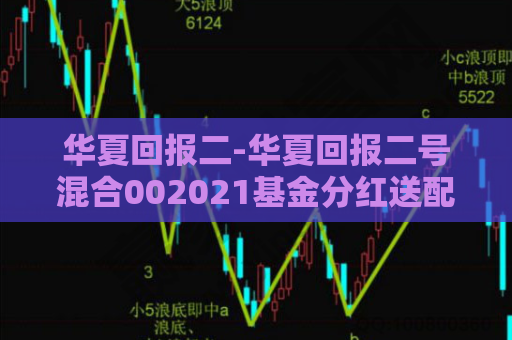 华夏回报二-华夏回报二号混合002021基金分红送配  第1张