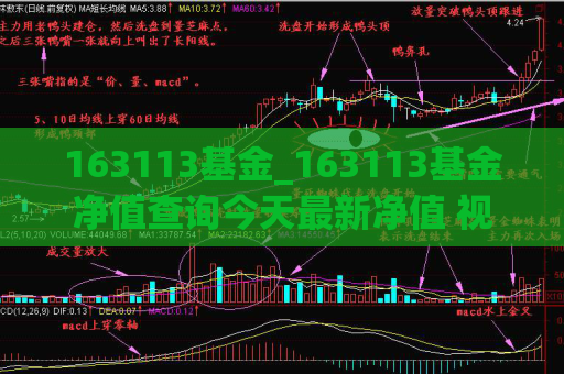 163113基金_163113基金净值查询今天最新净值 视频10409  第1张