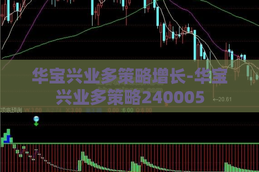 华宝兴业多策略增长-华宝兴业多策略240005  第1张