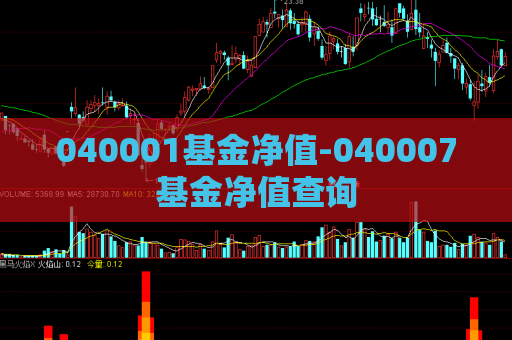 040001基金净值-040007基金净值查询  第1张