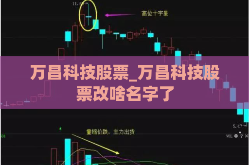 万昌科技股票_万昌科技股票改啥名字了  第1张