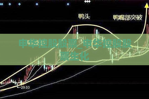 申华控股股票_申华控股股票生化  第1张