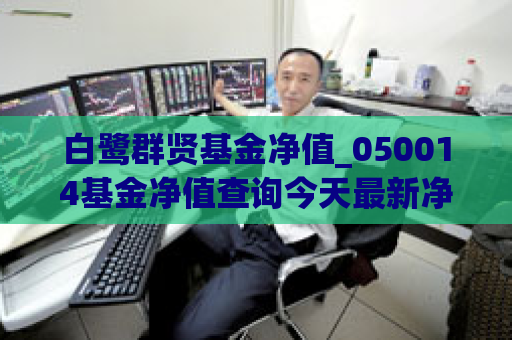 白鹭群贤基金净值_050014基金净值查询今天最新净值  第1张