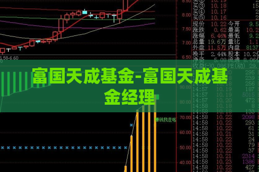 富国天成基金-富国天成基金经理  第1张