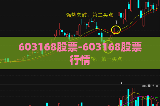 603168股票-603168股票行情  第1张