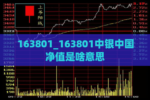 163801_163801中银中国净值是啥意思  第1张