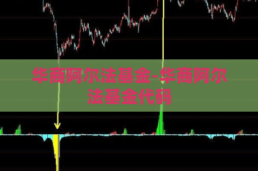 华商阿尔法基金-华商阿尔法基金代码  第1张