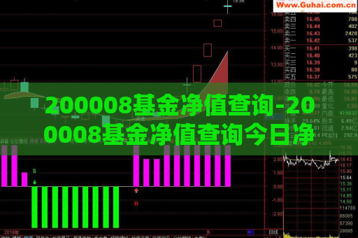 200008基金净值查询-200008基金净值查询今日净值  第1张