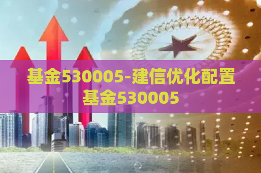 基金530005-建信优化配置基金530005  第1张