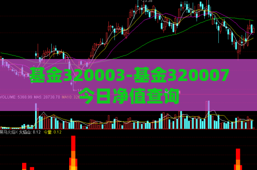 基金320003-基金320007今日净值查询  第1张
