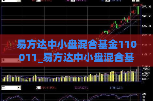 易方达中小盘混合基金110011_易方达中小盘混合基金110011改名  第1张