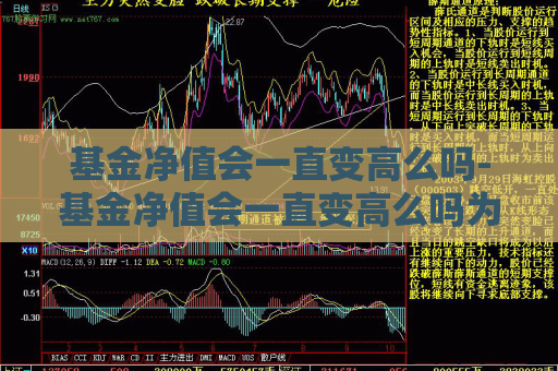 基金净值会一直变高么吗-基金净值会一直变高么吗为什么  第1张