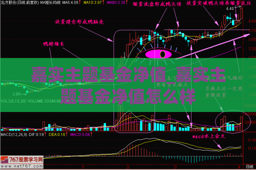 嘉实主题基金净值_嘉实主题基金净值怎么样  第1张