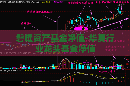 磐耀资产基金净值-华夏行业龙头基金净值  第1张