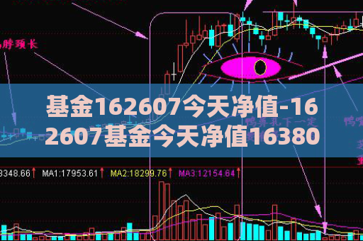 基金162607今天净值-162607基金今天净值163803  第1张