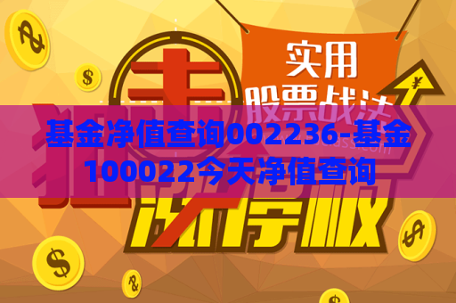 基金净值查询002236-基金100022今天净值查询  第1张