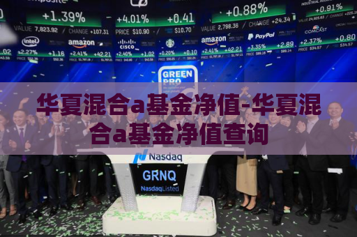 华夏混合a基金净值-华夏混合a基金净值查询  第1张