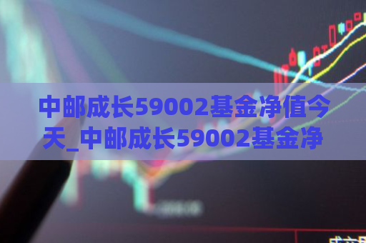 中邮成长59002基金净值今天_中邮成长59002基金净值今天走势  第1张