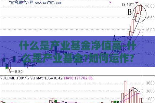 什么是产业基金净值高-什么是产业基金?如何运作?  第1张