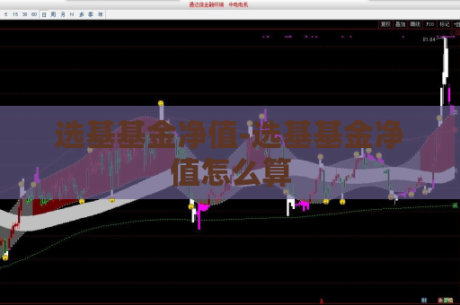 选基基金净值-选基基金净值怎么算  第1张