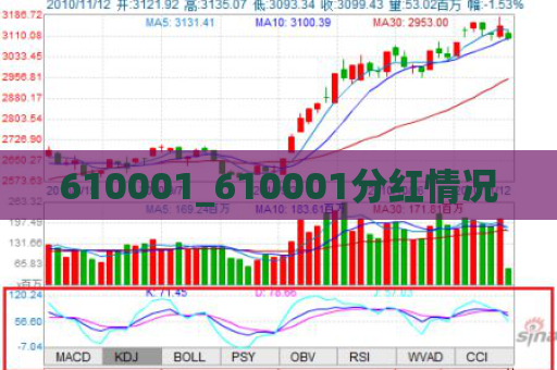 610001_610001分红情况  第1张