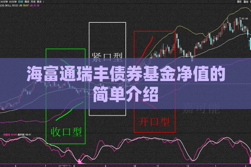 海富通瑞丰债券基金净值的简单介绍  第1张