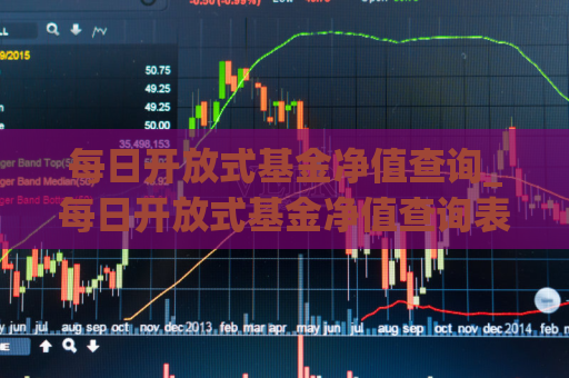 每日开放式基金净值查询_每日开放式基金净值查询表新版  第1张