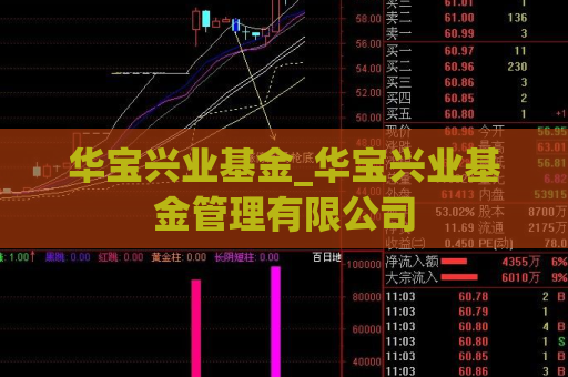 华宝兴业基金_华宝兴业基金管理有限公司