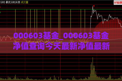 000603基金_000603基金净值查询今天最新净值最新股价  第1张