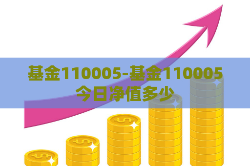 基金110005-基金110005今日净值多少  第1张