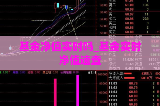 基金净值实时吗_基金实时净值速查  第1张