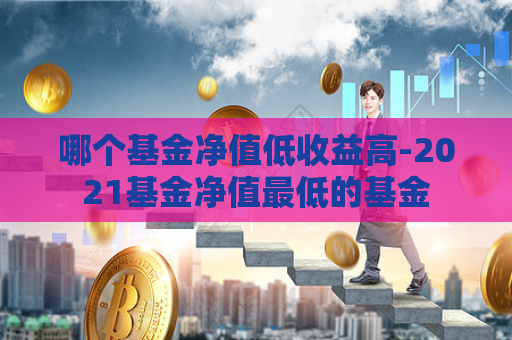 哪个基金净值低收益高-2021基金净值最低的基金  第1张