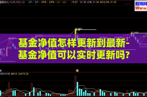 基金净值怎样更新到最新-基金净值可以实时更新吗?  第1张