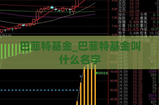 巴菲特基金_巴菲特基金叫什么名字  第1张