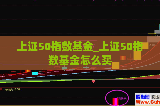 上证50指数基金_上证50指数基金怎么买  第1张