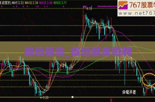 睿远基金_睿远基金招聘  第1张