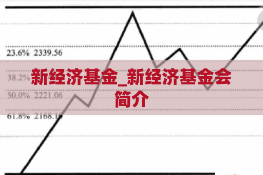 新经济基金_新经济基金会简介