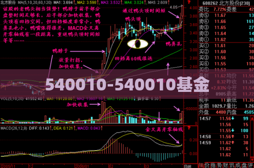 540010-540010基金  第1张