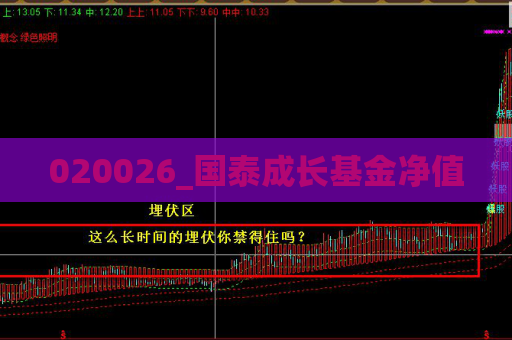 020026_国泰成长基金净值  第1张