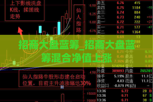 招商大盘蓝筹_招商大盘蓝筹混合净值上涨  第1张