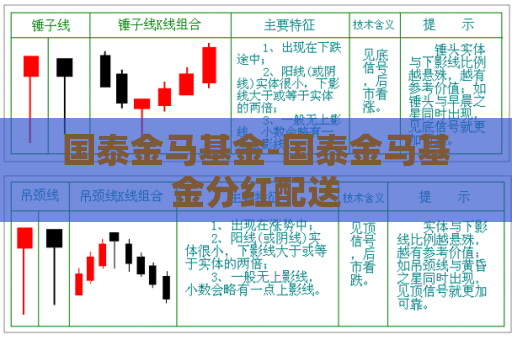 国泰金马基金-国泰金马基金分红配送  第1张