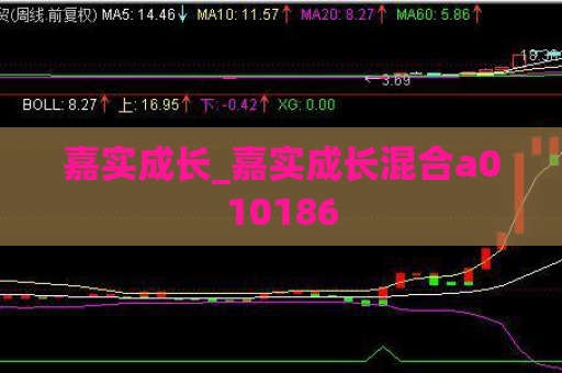 嘉实成长_嘉实成长混合a010186  第1张