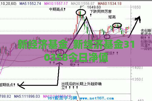 新经济基金_新经济基金310358今日净值